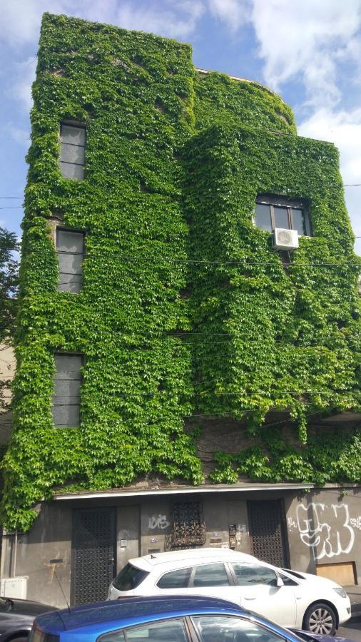 Central Green House Bucharest Exterior photo